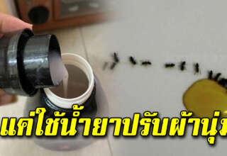 ประโยชน์น้ำยาปรับผ้านุ่ม
