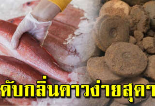 แม่บ้านต้องรู้ไว้ สูตรลดกลิ่นคาวหมึก ปลา กุ้ง ได้ทันใจ ด้วยของในครัว