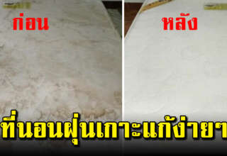 ฝุ่นบนที่นอนเก่า ซักง่ายๆสะอาดเหมือนใหม่ ไม่ต้องเหนื่อยยกไปตากแดด