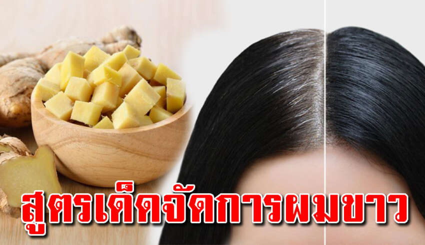 ผมหงอกผมร่วง ผมบาง บอกลาง่ายๆด้วยของในครัว ช่วยให้ผมหนาขึ้นดำเงา