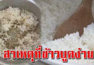 แนะนำวิธีหุงข้าวไม่ให้บูดเร็ว ที่หลายคนไม่เคยรู้