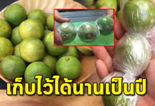 เก็บมะนาว ให้สดเหมือนซื้อใหม่ เก็บนานเป็นปี