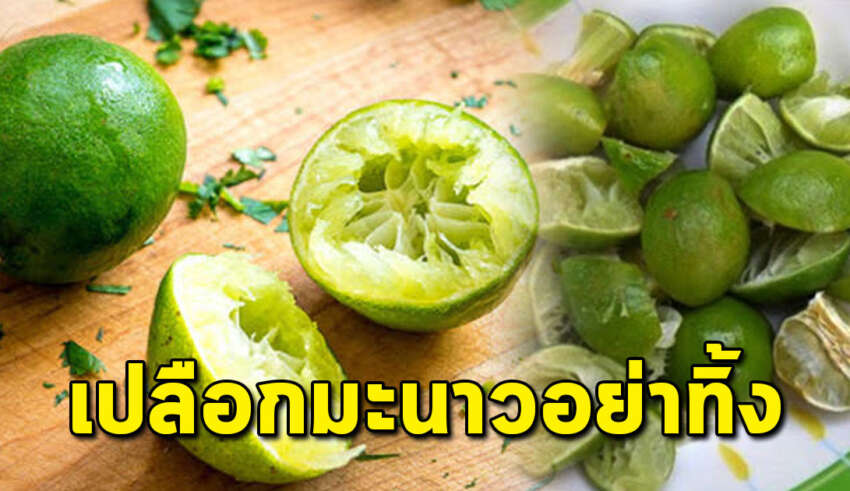 เปลือกมะนาวบีบน้ำเสร็จอย่าทิ้ง เก็บไว้ใช้ประโยชน์ได้เยอะ