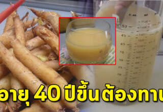 เก็บเอาไว้ทำ สูตรน้ำกระชาย แนะอายุ 40 ควรดื่มทุกวัน ปรับสมดุลเเก้ผมร่วง