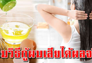 เปลี่ยนผมเสียเป็นผมนุ่มสลวย เรียงตัวสวย มีน้ำหนัก ด้วย 6 สูตรจากธรรมชาติ