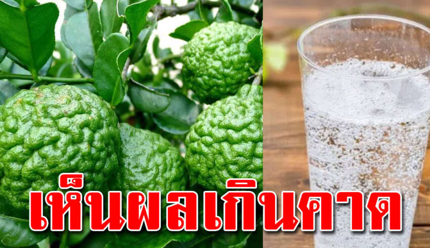 สายตาดีมองเห็นชัดขึ้น 2 สูตร ผสมน้ำมะกรูดกับโซดา