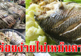 บอกแม่บ้าน เคล็ดลับเ ม นูปลา ไม่ให้มีกลิ่นคาว ใช้ได้กับปลาทุกชนิด