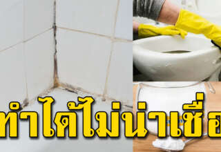 หมดปัญหากลิ่นเหม็นแรงๆในห้องน้ำ ด้วยของที่มีอยู่ในครัว