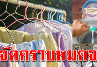 คราบฝังลึกหรือคราบเหนียวบนเสื้อผ้า แม่บ้านบอกมา วิธีซักหมดไม่เหลือรอย