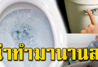 ประหยัดค่าน้ำไปได้เยอะ ทริคง่ายๆ ทำเองที่บ้านได้เลย