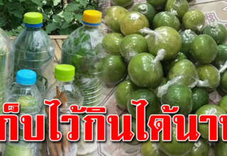 วิธีเก็บผักให้สดใหม่ อยู่ได้นานเป็นเดือน ไว้ใช้ช่วงกักตัว