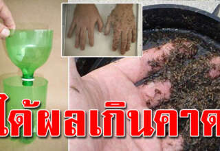 วิ ธีง่ายๆ ฉบับมือโปร เเค่ใช่สิ่งนี่ รับรองสามสี่วันหายหมด