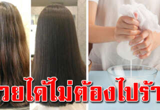 กะทิ 4 สูตร หมักผมสวย สลวยดกดำเป็นเงางาม