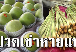 แม่บ้านหลายคนไม่รู้ น้ำแอปเปิ้ลเขียวต้มกับตะไคร้ ดื่มช่วยให้หายจากที่เป็นอยู่ได้