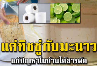 เคล็ดลับฉบับแม่บ้าน ทิชชู่กับมะนาว แก้ปัญหาในบ้านได้สารพัด