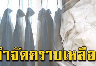 ร้านซักไม่เคยบอก เสื้อผ้าคราบหนา รอยเหลือง วิธีซักให้ขาวง่ายมาก