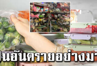 หลายคนไม่รู้ อ ย่ านำอาหารที่ซื้อมาใส่ตู้เย็นทั้งถุงพลาสติก