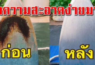 เตารีดมีคราบดำ รอยไหม้ ทำตามนี้ทำความสะอาดง่ายมาก