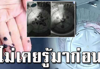 5 ขั้นตอน ล้างถังซักผ้า ด้วยของที่มีในบ้าน สะอาดมากไม่ทิ้งคราบ