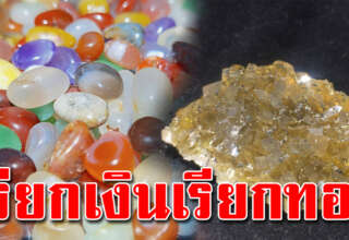 พกเอาไว้ดี มีเงินทองเข้ากระเป๋า ไหลมาเทมา