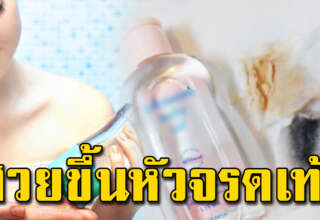 7 ประโยชน์เบบี้ออย ควรหามาไว้ติดบ้าน