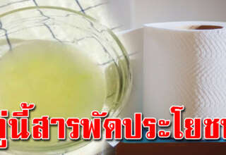 ทิชชู่กับมะนาว แก้ปัญหาในบ้านได้ส า ร พั ด