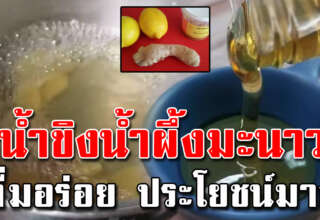 ชงน้ำขิงผสมน้ำผึ้งมะนาว ดื่มง่าย ไม่เผ็ด ให้ประโยชน์มาก