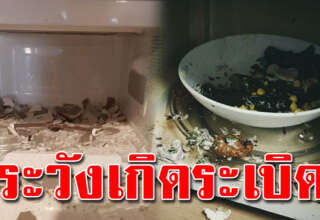 5 ภาชนะ ที่ไม่ควรเข้าไมโครเวฟ ใครทำอยู่เลิกนะ