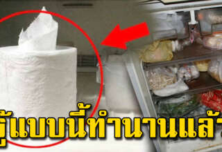 ใส่ทิชชู่ 1 ม้วนไว้ในตู้เย็น ทิ้งเอาไว้ข้ามคืน เรื่องเล็กน้อยที่หลายคนไม่รู้