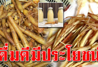 ต้มน้ำกระชาย ดื่มเองได้ทุกวัน ประโยชน์ทุกด้าน