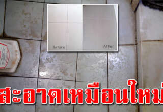 พื้นกระเบื้อง สะอาดเหมือนใหม่ ทำได้ง่ายๆ ไม่เปลืองแรงขัด