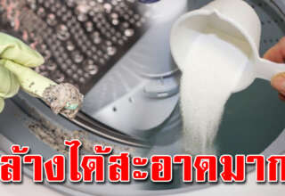 แม่บ้านควรรู้ วิ ธี ล้างถังซักผ้าด้วยตัวเอง สะอาดหมดจด ไม่ง้อช่าง