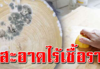 ล้างเขียงไม้ ไม่เหลือกลิ่นคาวอาหาร แม่บ้านบอกมา สะอาดมาก