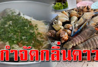 วิธีลดกลิ่นคาวหมึก ปลา กุ้ง สะอาดไม่เหม็นคาว เนื้อเด้งอร่อย