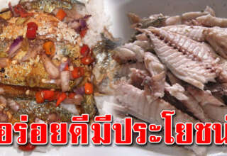 ใครที่ทานปลาทูเป็นประจำ รู้เอาไว้เลย 5 อ ย่ า งนี้ ส่งผลกับร่างกายมหาศาล