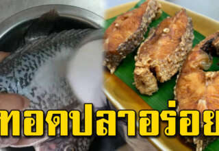 เคล็ดลับทอดปลาอร่อย เนื้อนุ่มหนังกรอบ ไม่ติดกระทะ น้ำมันไม่กระเด็นใส่