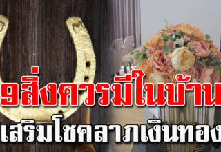 ของ 9 สิ่งนี่ ควรมีติดบ้านไว้ ช่วยเสริมโ ช ค ค้าขายดีขึ้น