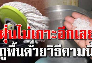 พื้นบ้านสะอาด ฝุ่นไม่เกาะ สะอาดนานเป็นเดือน ไม่ต้องถูทุกวัน