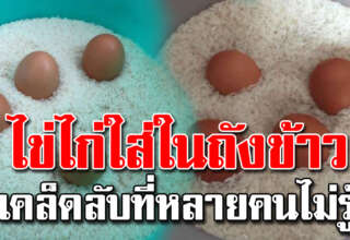 ใส่ไข่ไก่ลงในถังข้าว ประโยชน์มาก สิ่งที่แม่บ้านมองข้าม