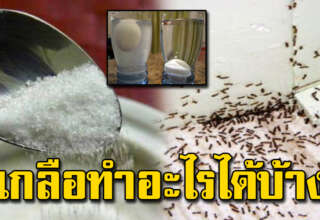 มีติดบ้านเอาไว้ 6 ประโยชน์จากเกลือปรุงรส แก้ปัญหาสารพัดภายในบ้าน