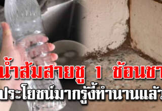 น้ำส้มสายชู 1 ช้อน หมดปัญหาในบ้านทุกอย่างง่ายมาก
