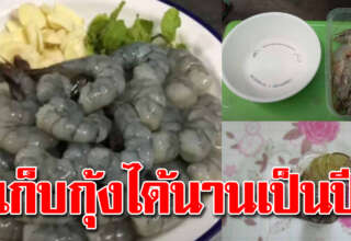 เก็บกุ้งได้นานข้ามปี สดใหม่เหมือนเพิ่งซื้อมาจากตลาด