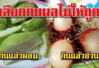6 ผลไม้ยิ่งกินยิ่งผอม และ 6 ผลไม้กินแล้วอ้วน เลือกให้ดีก่อนกิน