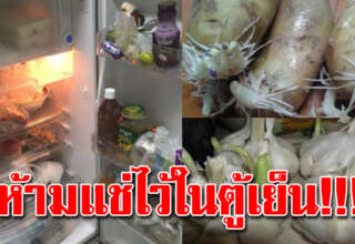 อาหาร 10 อย่าง แช่ตู้เย็นไม่ได้ ห้ามแช่เด็ดขาด