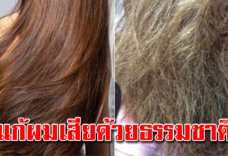 ผมร่วง ผมบาง แนะห มั กผมด้วยมะนาว ผมสลวยดกดำเงางาม ไม่หงอก