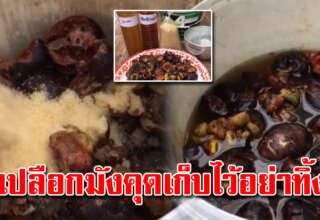 เปลือกมังคุดอย่าทิ้ง เก็บเอาไว้ ทำประโยชน์ได้อีก