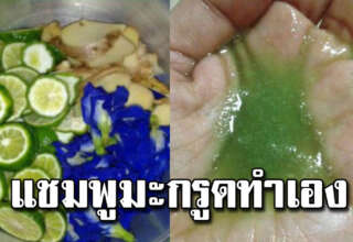 ทำแชมพูมะกรูดใช้เอง จากธรรมชาติ ใช้แล้วผมดำ ไม่คันศีรษะ