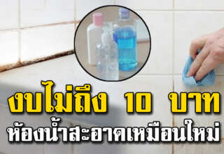 กระเบื้องห้องน้ำเป็นร่องดำ ขัดออกง่ายๆ ด้วยงบ 10 บาท