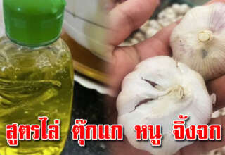 บอกแม่บ้าน สูตรนี้หายเกลี้ยงทั้งบ้าน น่าทำตั้งนานแล้ว