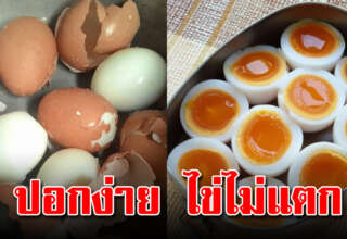 ต้มไข่ไม่ให้แตก ปอกเปลือกง่าย สวยน่ากิน